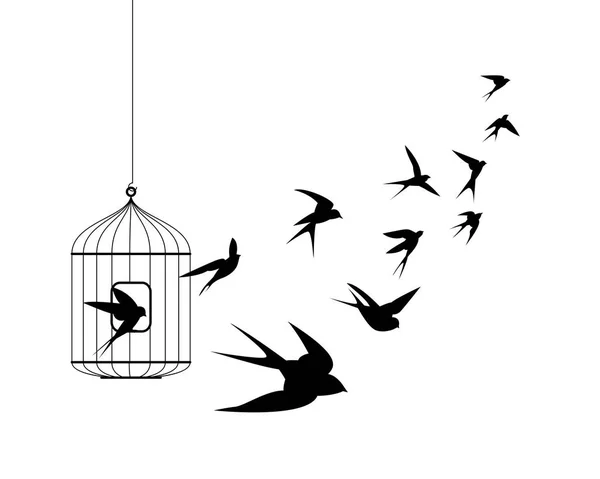 Swallow birds flying out of cage — Stock Vector