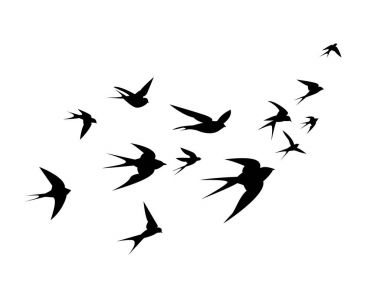 Swallow Kuşlar sürüsü yukarı