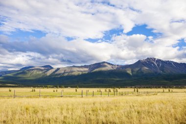 Kurai bozkır. Dağ Altay doğa. Yaz manzara. Rusya