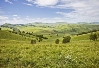 Dağ Altay manzara. Yeşil glade