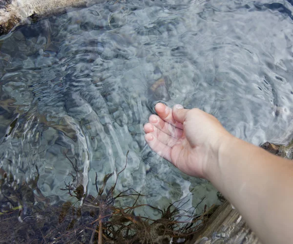 투명 한 시내입니다. 손으로 물을 마실 — 스톡 사진