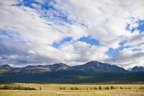Kurai 的草原。阿尔泰山景观自然。俄罗斯 — 图库照片
