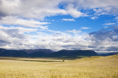 Kurai bozkır manzara. Altay, Rusya Federasyonu