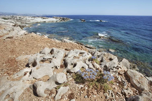 Chypre, Paphos. Côtes de la mer Méditerranée — Photo