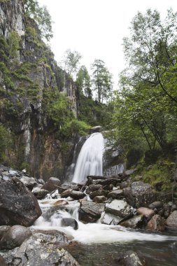 Corbu, şelale, Lake Teletskoye. Altay Dağları