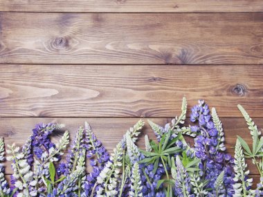 Acı bakla çiçekler ile ahşap arka plan