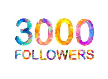3000 (üç bin) takipçileri
