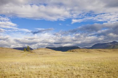 Kurai bozkır. Altay dağ yaz manzarası