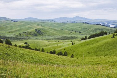 Dağ Altay manzara. Yeşil glade