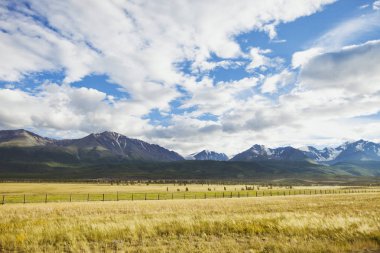 Kurai bozkır. Altay dağ yaz manzarası. Rusya