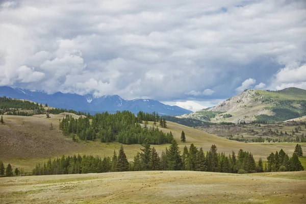 Altajské hory letní krajina u Kurai. — Stock fotografie