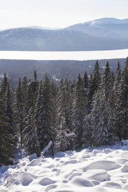 Dağ Zuratkul, kış manzarası. Snowdrifts ormanının yakınındaki