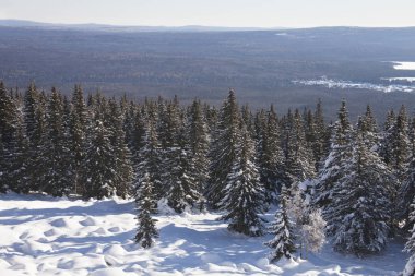 Dağ Zuratkul, kış manzarası. Snowdrifts ormanının yakınındaki