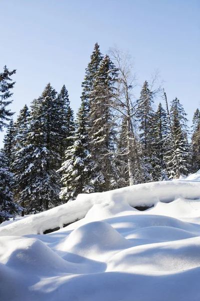 Hegység Zuratkul, téli táj. Snowdrifts közelében fores — Stock Fotó