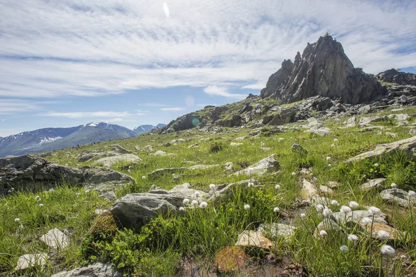 Dağ Altay manzara. Rusya.