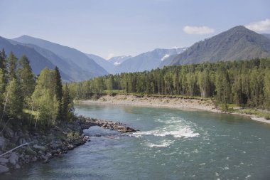 Katun nehir. Dağ Altay manzara