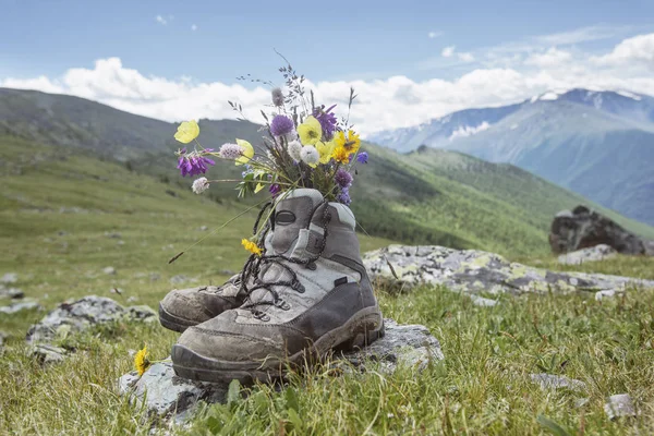 Wild flowers in trekking boots. Altai — Stock Photo, Image