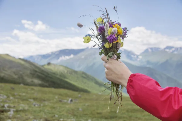 Wild flowers bouquet in hand. Altai mountains — Stock Photo, Image