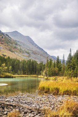 Multa Nehri, Altay Dağları manzara