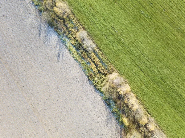 Champ près de Lugovaya. Terres labourées et cultures d'hiver. Vue de abo — Photo