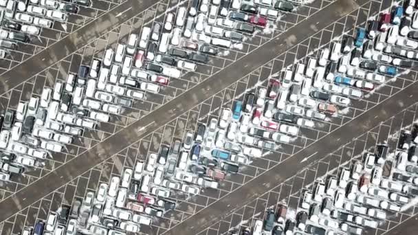 Grande estacionamento. Contexto industrial — Vídeo de Stock