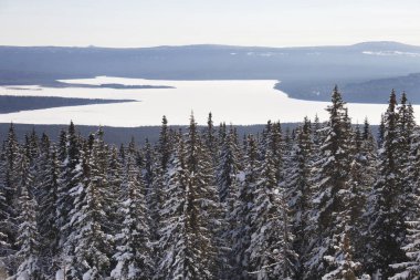Ural orman. Lake Zyuratku, kış manzarası. 