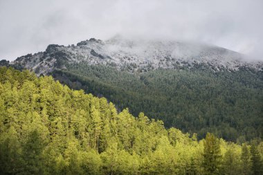 Karla kaplı dağ tepe. Altay manzara