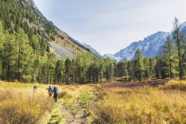 Kuiguk vadi içinde iz. Trekking. Altay Dağları manzara