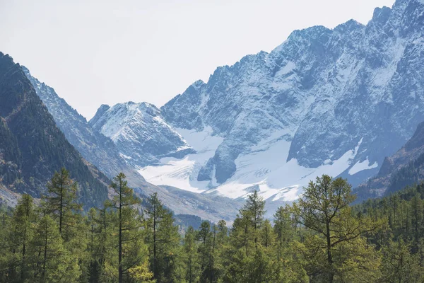 Kuiguk vadi. Altay Dağları manzara