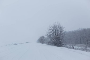 Kış manzarası. Blizzard yolda. Rusya