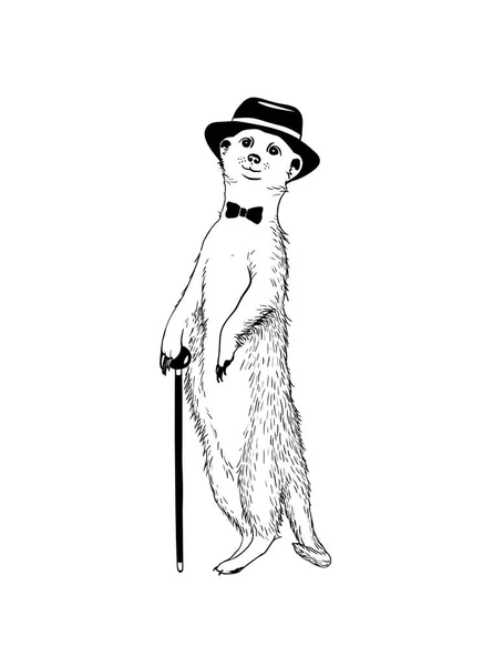 Περπάτημα meerkat τζέντλεμαν. Διάνυσμα illustratio — Διανυσματικό Αρχείο