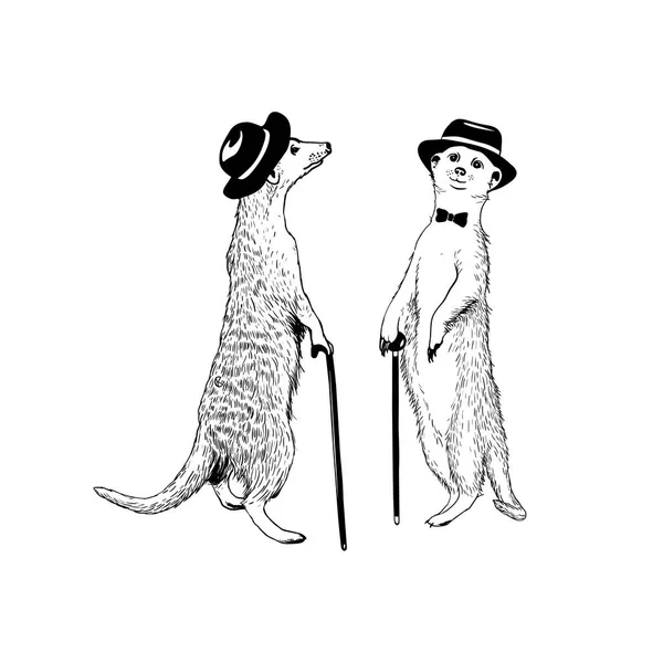 Περπάτημα meerkats τζέντλεμαν. Διάνυσμα illustratio — Διανυσματικό Αρχείο