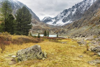 Göl Kuiguk. Altay Dağları doruklarına. Sonbahar manzara