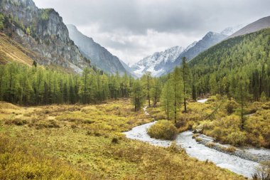 Nehir Kuiguk Vadisi'nde. Altay Dağları sonbahar manzara