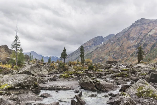 stock image River Shumi. Altai mountains autumn landscape