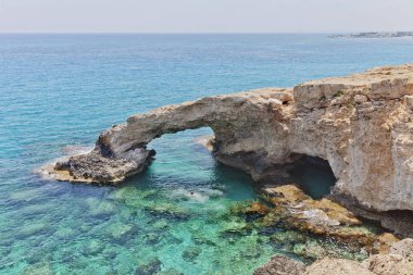 Monachus Arch. Cavo greco pelerin. Ayia napa, Kıbrıs. 