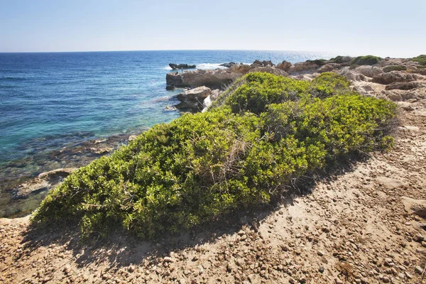 Chipre, Paphos. Línea costera del mar Mediterráneo — Foto de Stock