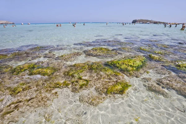 Paisaje del Mediterráneo. Playa Nissi de arena blanca, Chipre, Ay — Foto de Stock