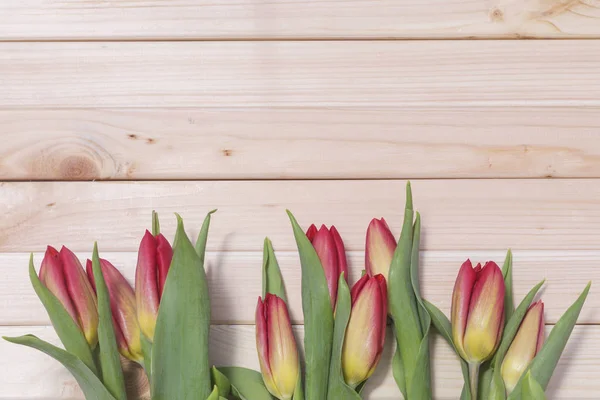 Red tulips on wooden background — Stock Photo, Image