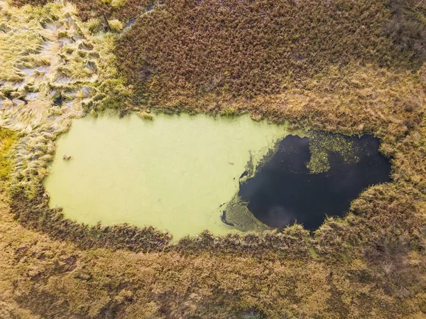 小湖 (沼泽)。莫斯科地区风景。鸟瞰图 — 图库照片