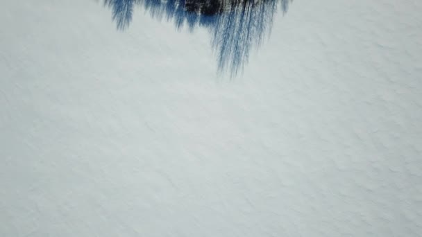 Parcela Con Árboles Campo Cubierto Nieve Paisaje Invernal Vista Aérea — Vídeos de Stock