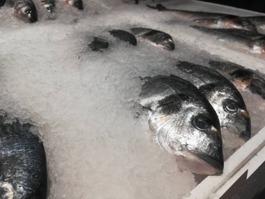 Donmuş dorado balık stok rafa koymak üzerinde