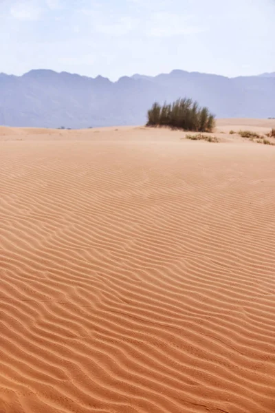 Duna de areia. Deserto de Wadi Araba. Jordânia paisagem — Fotografia de Stock