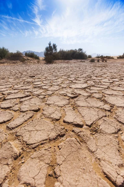 Solo seco rachado. Deserto de Wadi Araba. Jordânia paisagem — Fotografia de Stock