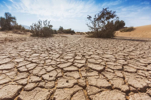Tierra seca agrietada. El desierto de Wadi Araba. Jordania paisaje —  Fotos de Stock