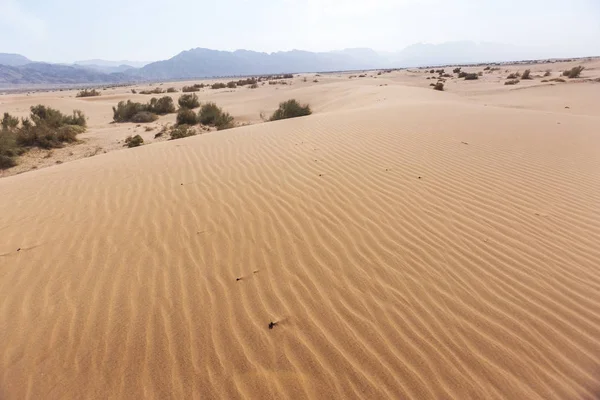 모래 언덕입니다. 와 디 Araba 사막입니다. 요르단 — 스톡 사진