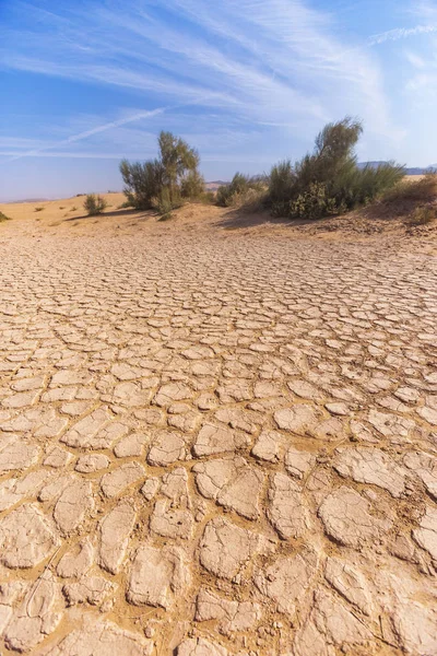 Tierra seca agrietada. El desierto de Wadi Araba. Jordania — Foto de Stock