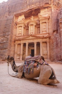 Deve hazine yakınındaki. Petra. Jordan Simgesel Yapı