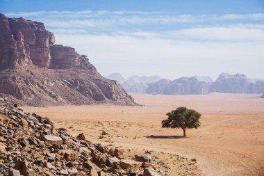 Wadi Ram çöl. Jordan manzara