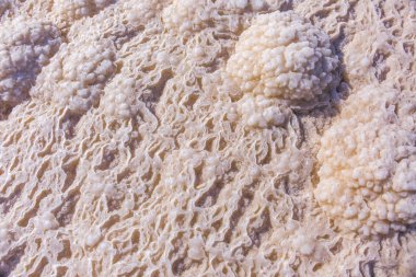 Dead Sea salt doku. Doğa arka plan